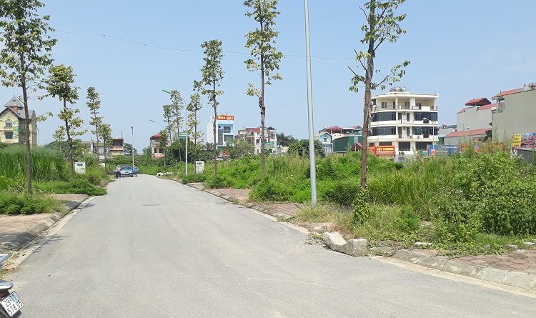 Đấu giá QSD đất xóm Sen 1, xã Kim Liên