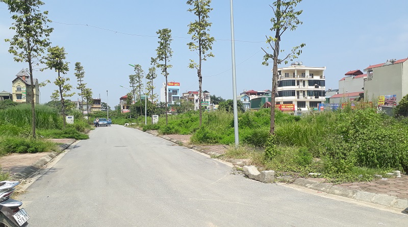 Đấu giá QSD đất xóm Sen 1, xã Kim Liên