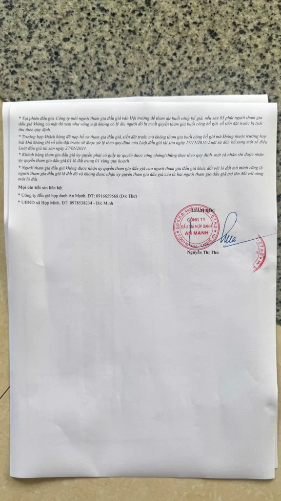 Đấu giá trực tuyến An Mạnh